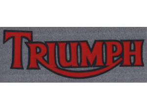 Hinckley Triumph 10 inch synthetic leather back patch red/black